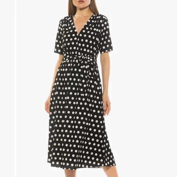 Alexia Admor Larissa Fit and Flare Polka Dot V-Neck Dress with Pockets - EUC - Picture 4 of 4
